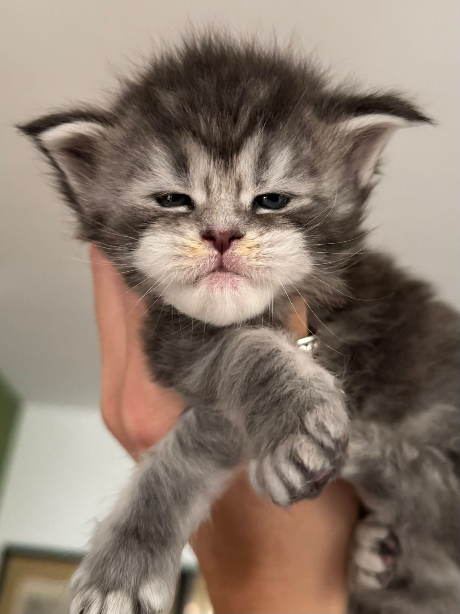 nati il 19 ottobre 2025