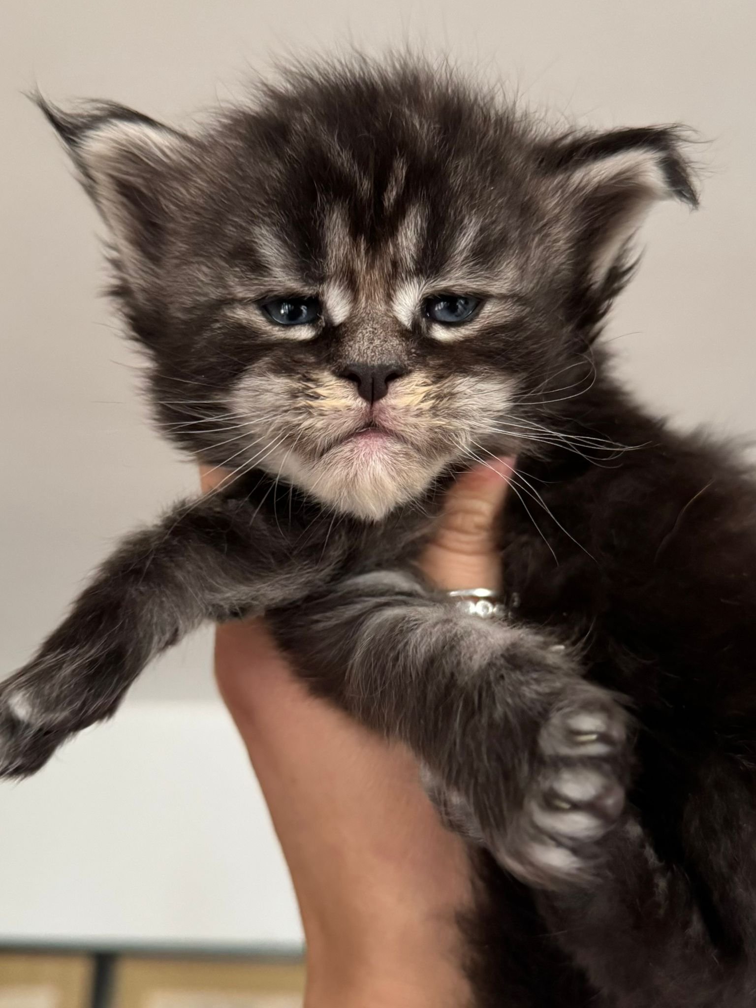 nati il 19 ottobre 2025