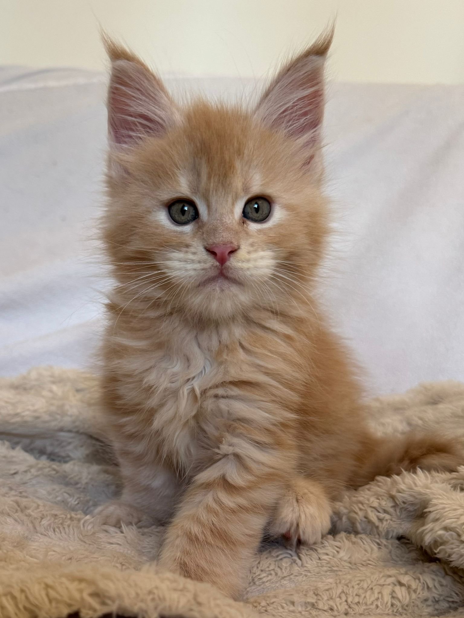 nati il 24 settembre 2025