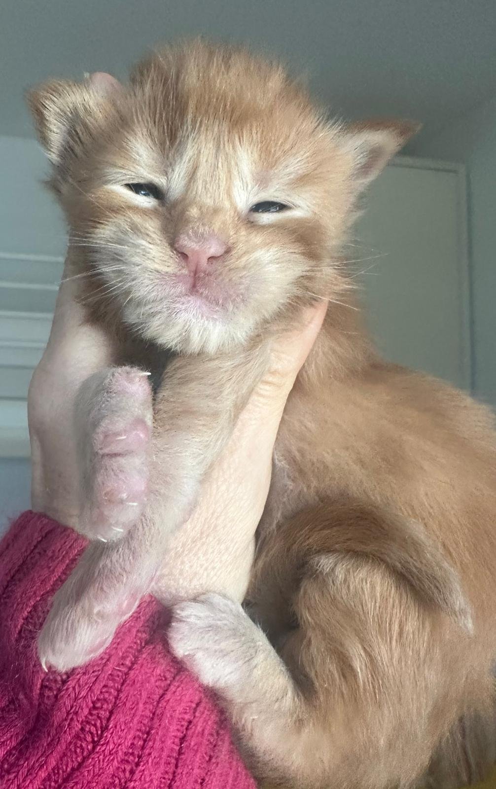 nati il 18 dicembre 2025