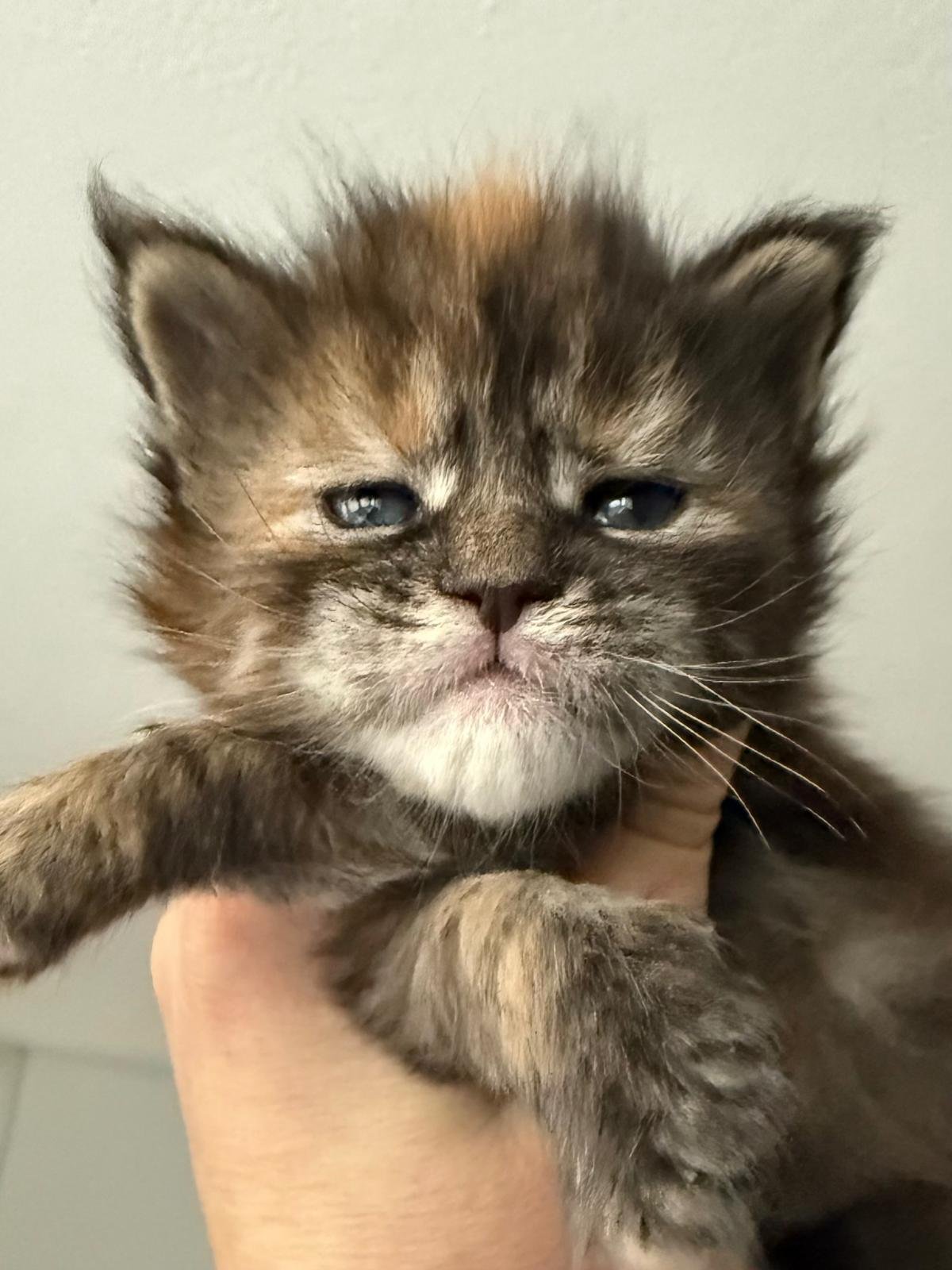 nati il 5 gennaio 2026