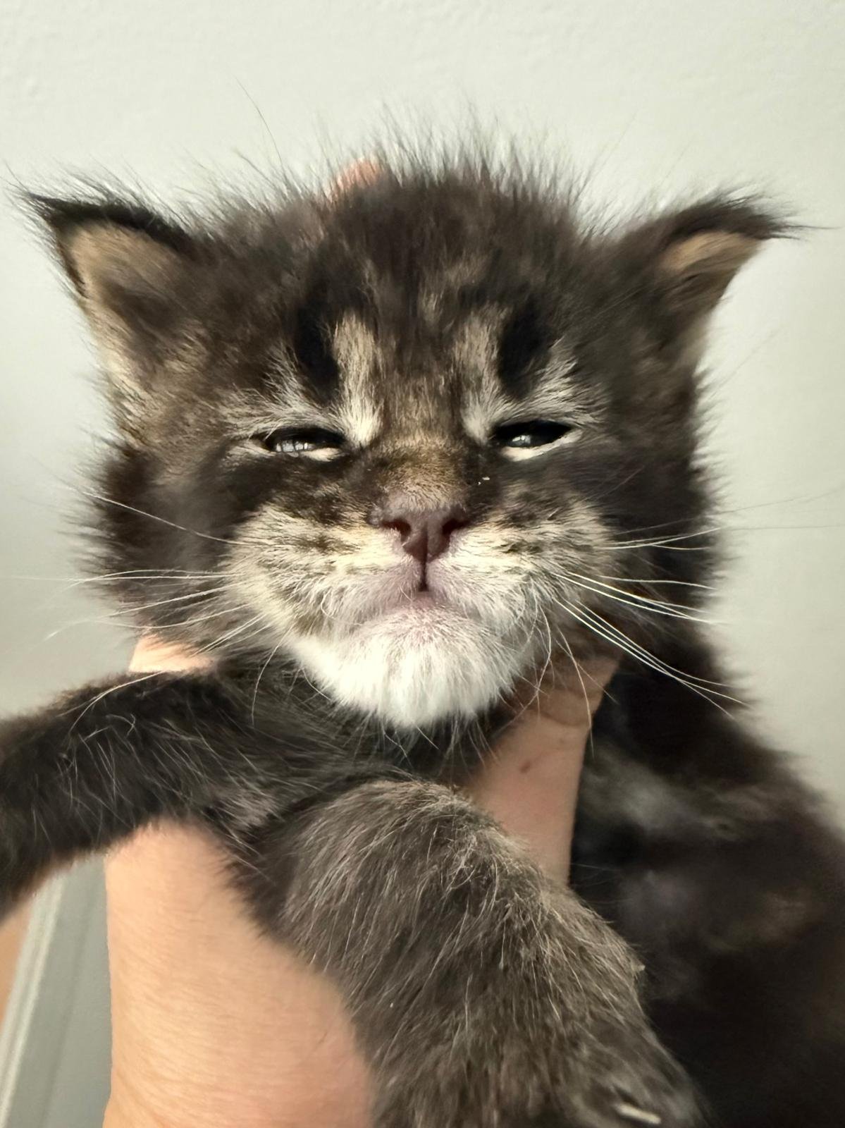 nati il 5 gennaio 2026