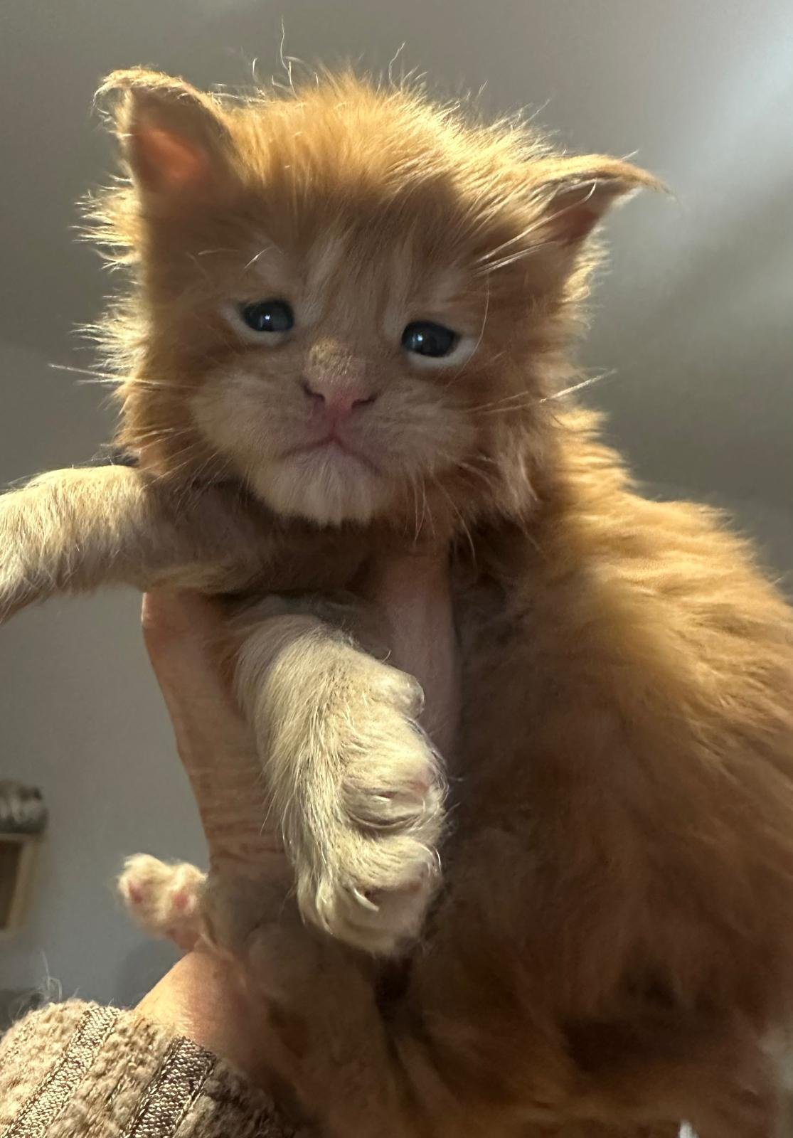 nati il 18 dicembre 2025