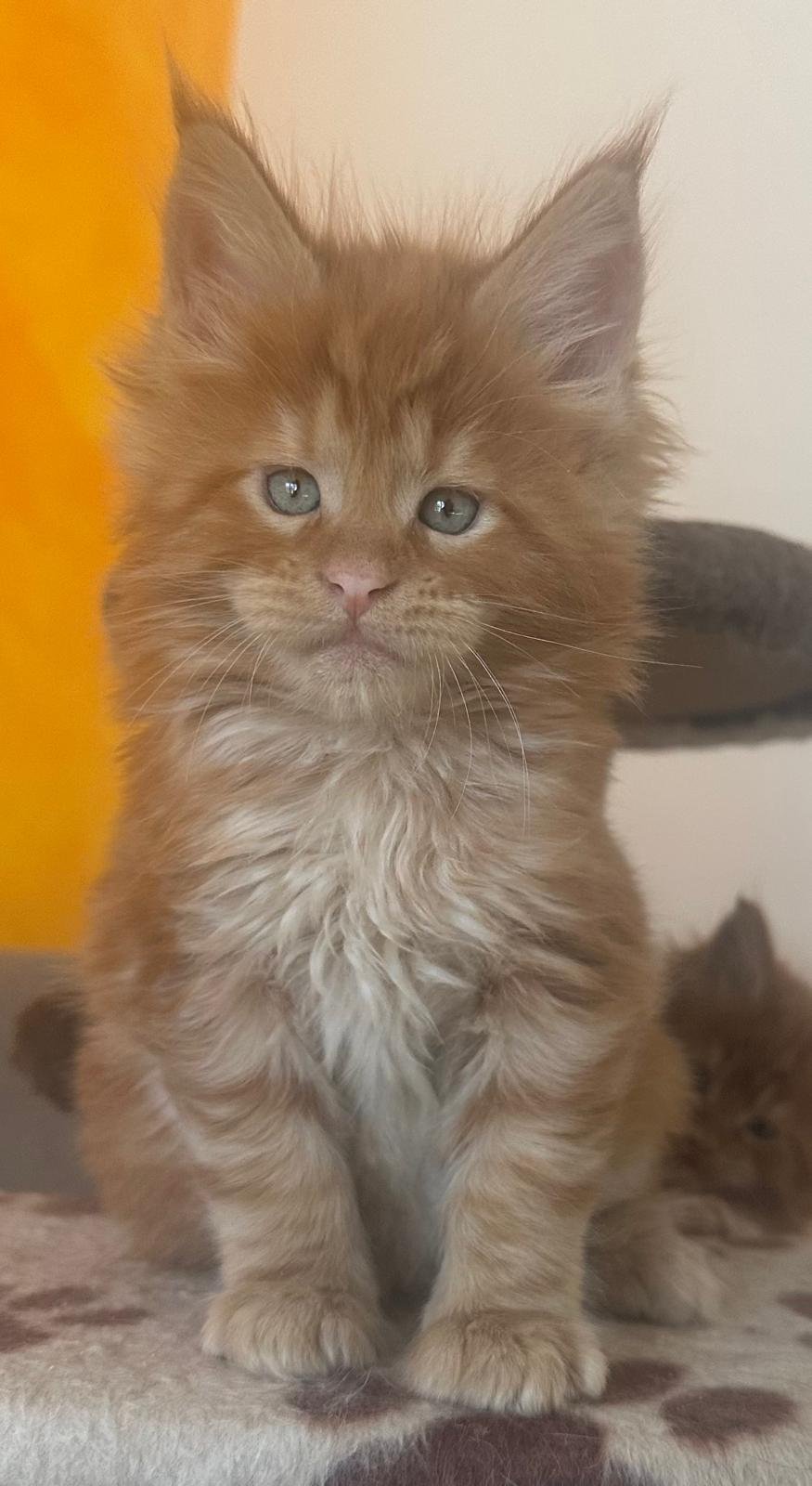 nati il 18 dicembre 2025