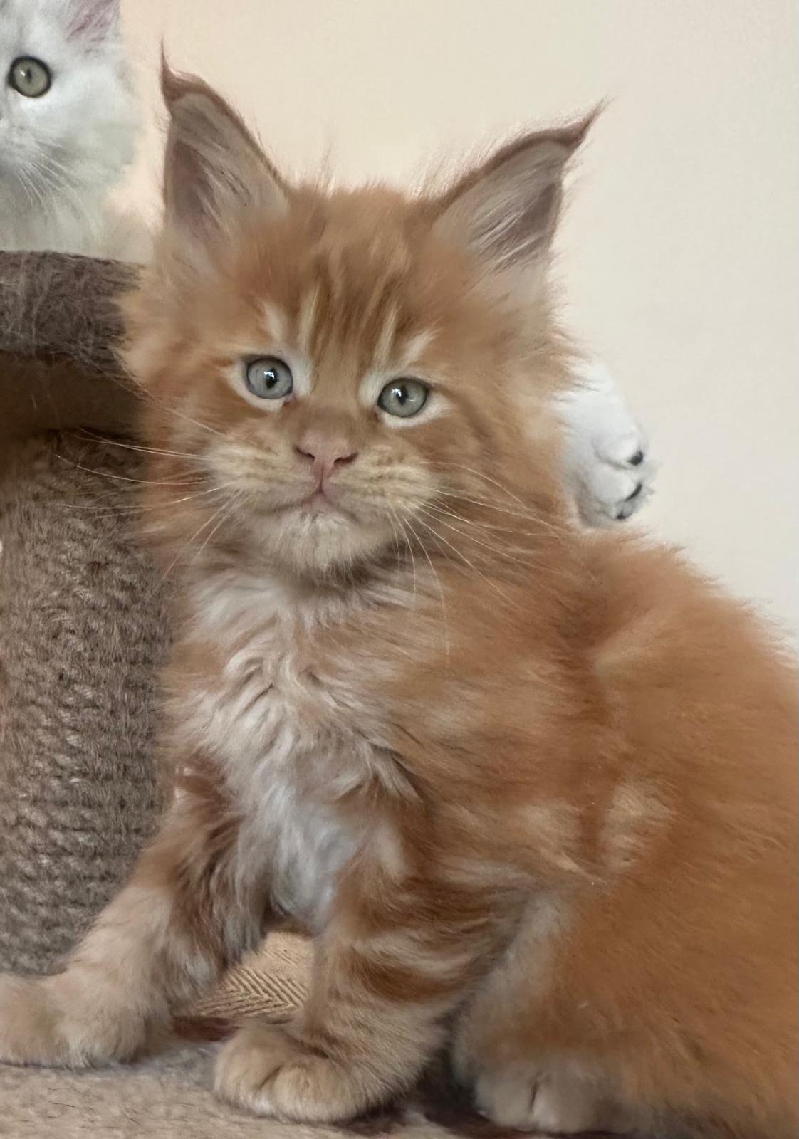 nati il 18 dicembre 2025