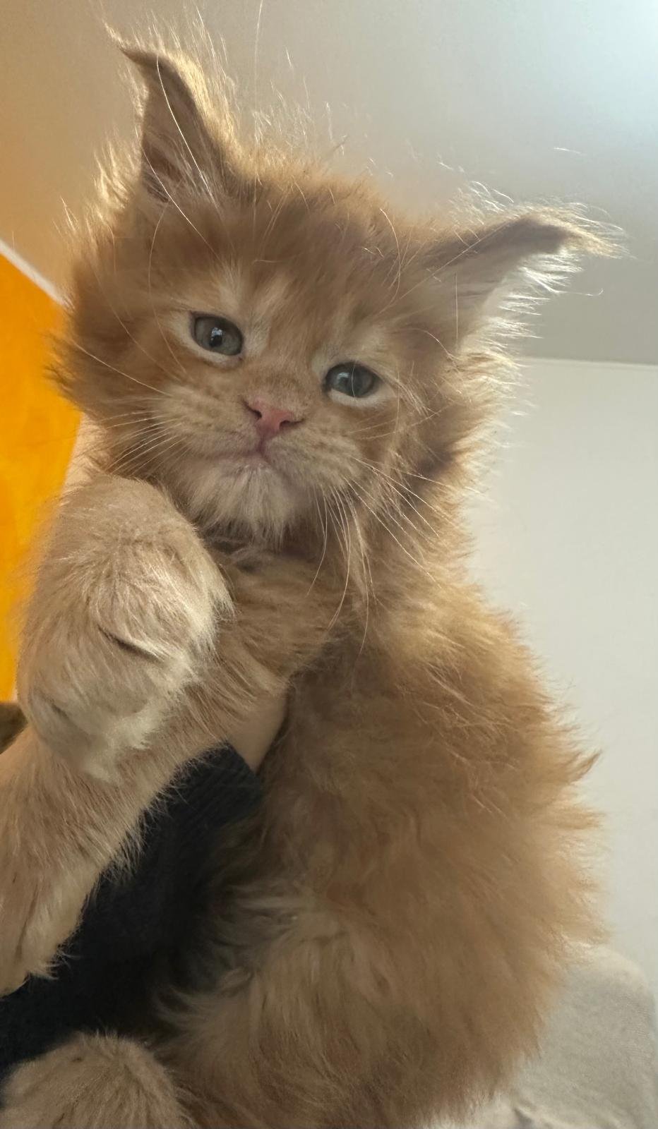 nati il 18 dicembre 2025