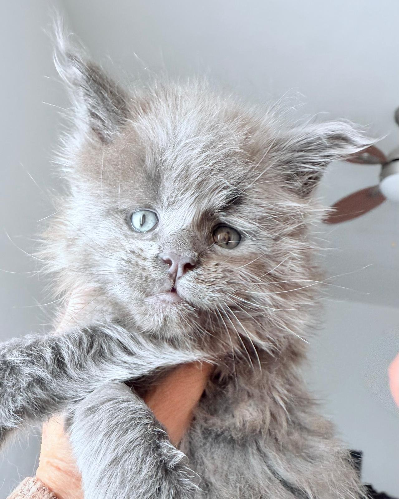 nati il 31 dicembre 2025