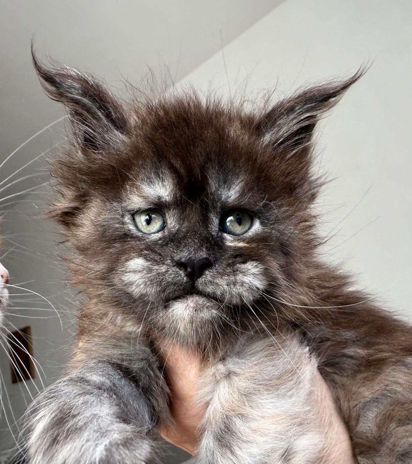 nati il 31 dicembre 2025