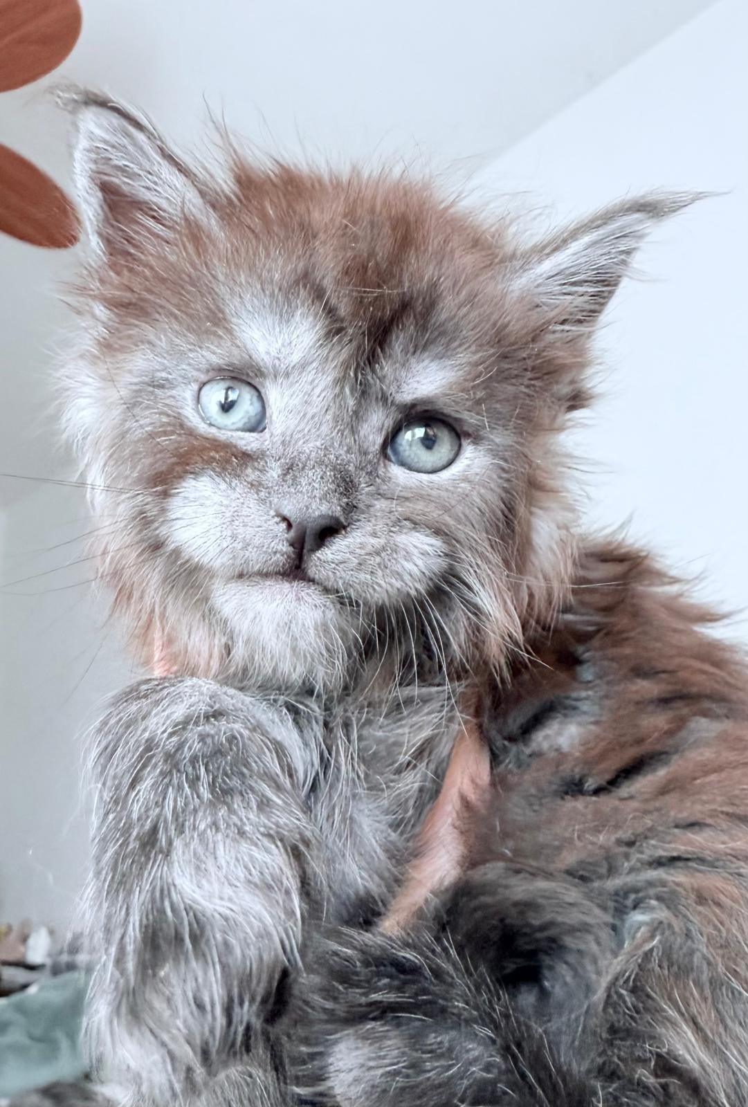 nati il 31 dicembre 2025