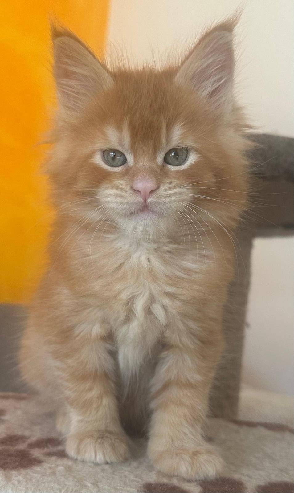 nati il 18 dicembre 2025