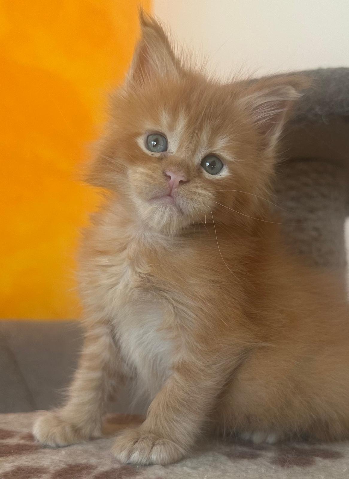 nati il 18 dicembre 2025