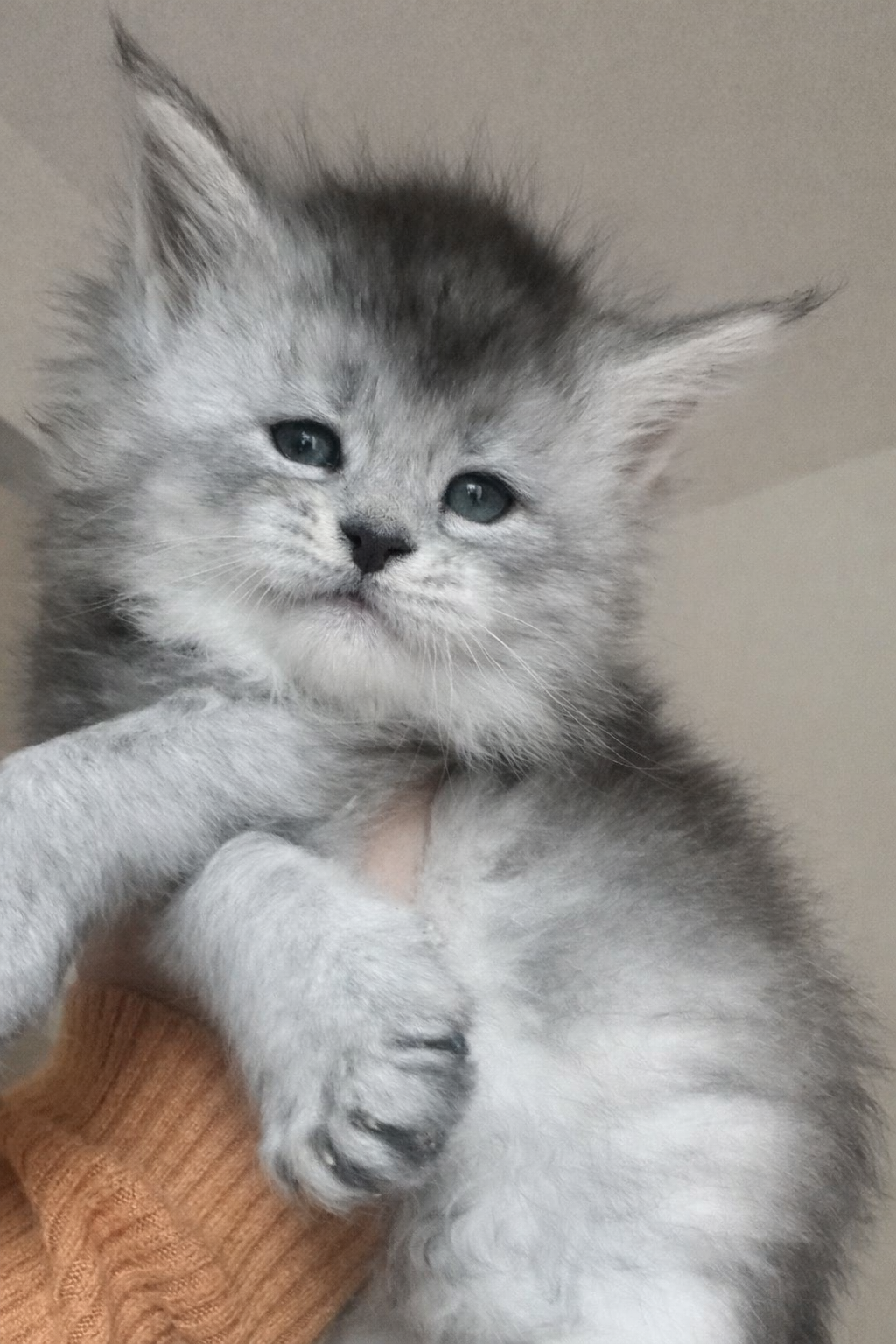 ChatGPT Image 4 mar 2026, 10_33_46 nati il 28 gennaio 2026