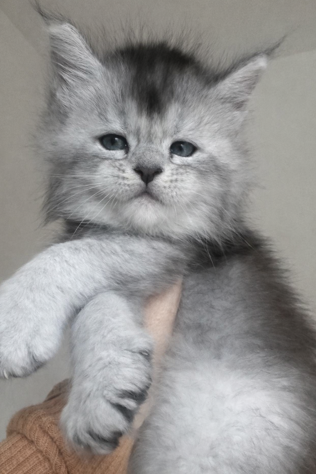 ChatGPT Image 4 mar 2026, 10_36_53 nati il 28 gennaio 2026