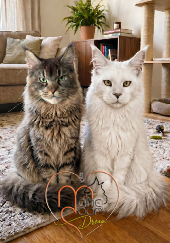 piani di accoppiamento